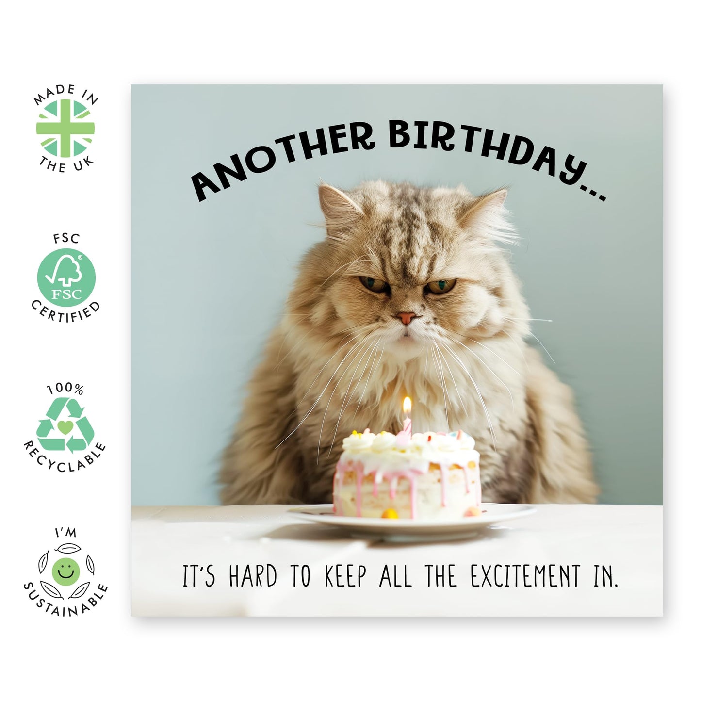 Greeting Card - 'BIRTHDAY UNEXCITED CAT' - Perfect for Celebrating with a Humorous Twist and Cat Design - Ideal for Adding a Touch of Laughter to Any Birthday - Comes With Stickers By Central 23