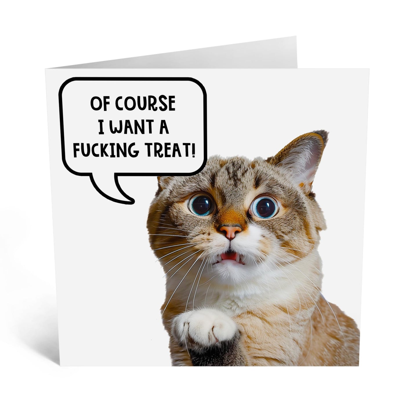 Greeting Card - 'OF COURSE I WANT A TREAT CAT' - Perfect for Any Occasion with Fun Feline Design - Ideal for Cat Lovers and Adding a Touch of Humor to Celebrations - Comes With Stickers By Central 23