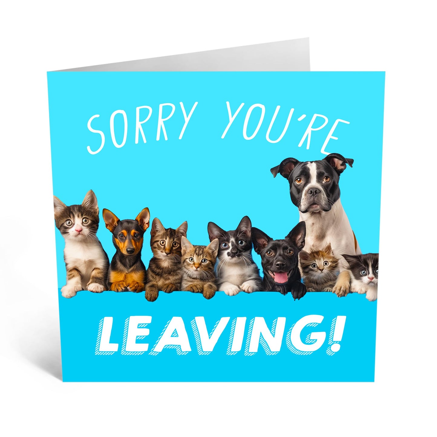 Farewell Card - 'DOGS LEAVING' - Perfect for Sending Off with a Touch of Canine Humor and Heartwarming Design - Ideal for Best Friends, Families, and Colleagues - Comes With Stickers By Central 23
