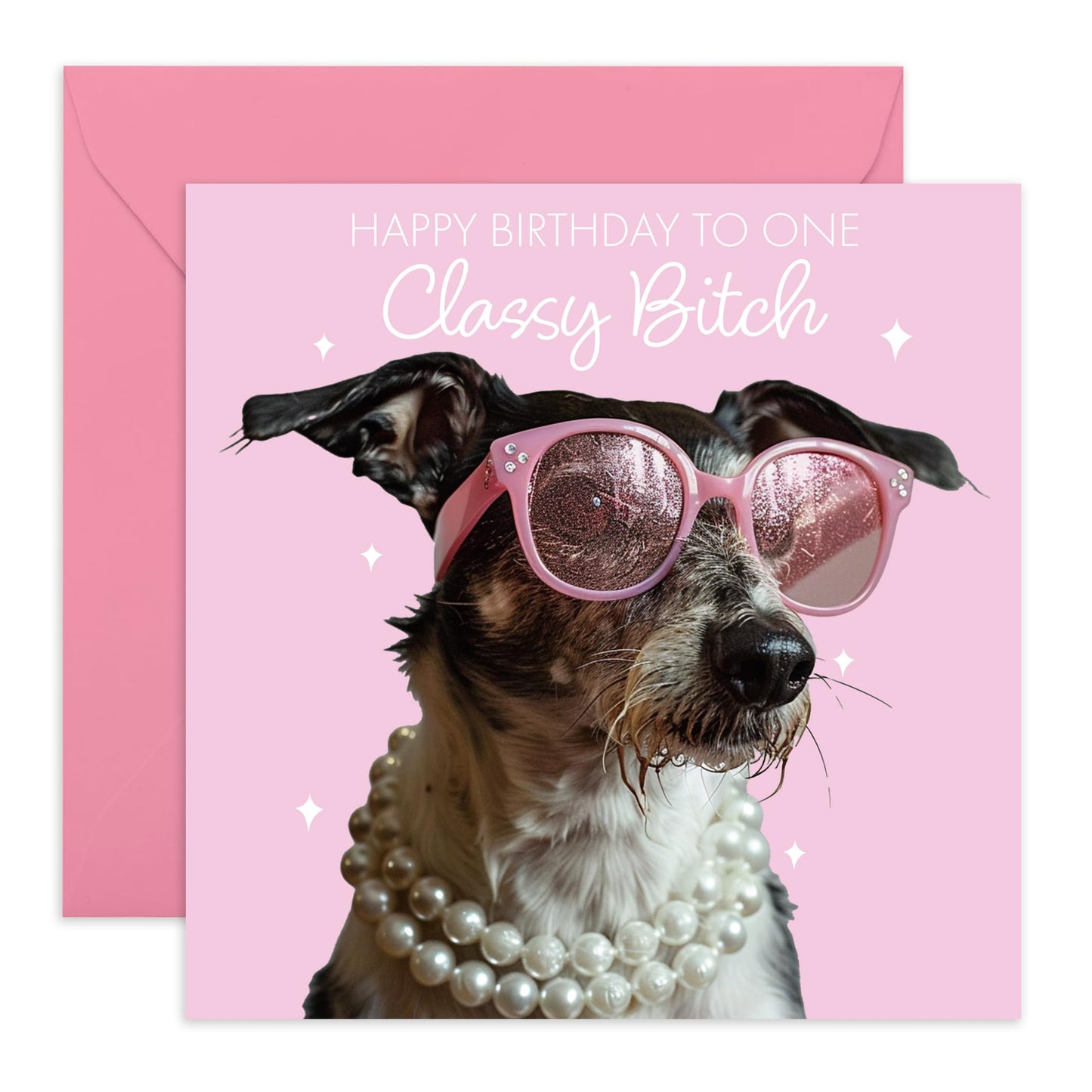 Cute Birthday Card - 'Classy Dog' - Gifts for Girlfriends, BFFs, Besties, Best friends, Coworker- Fabulously Cute Dog - Comes with Fun Stickers