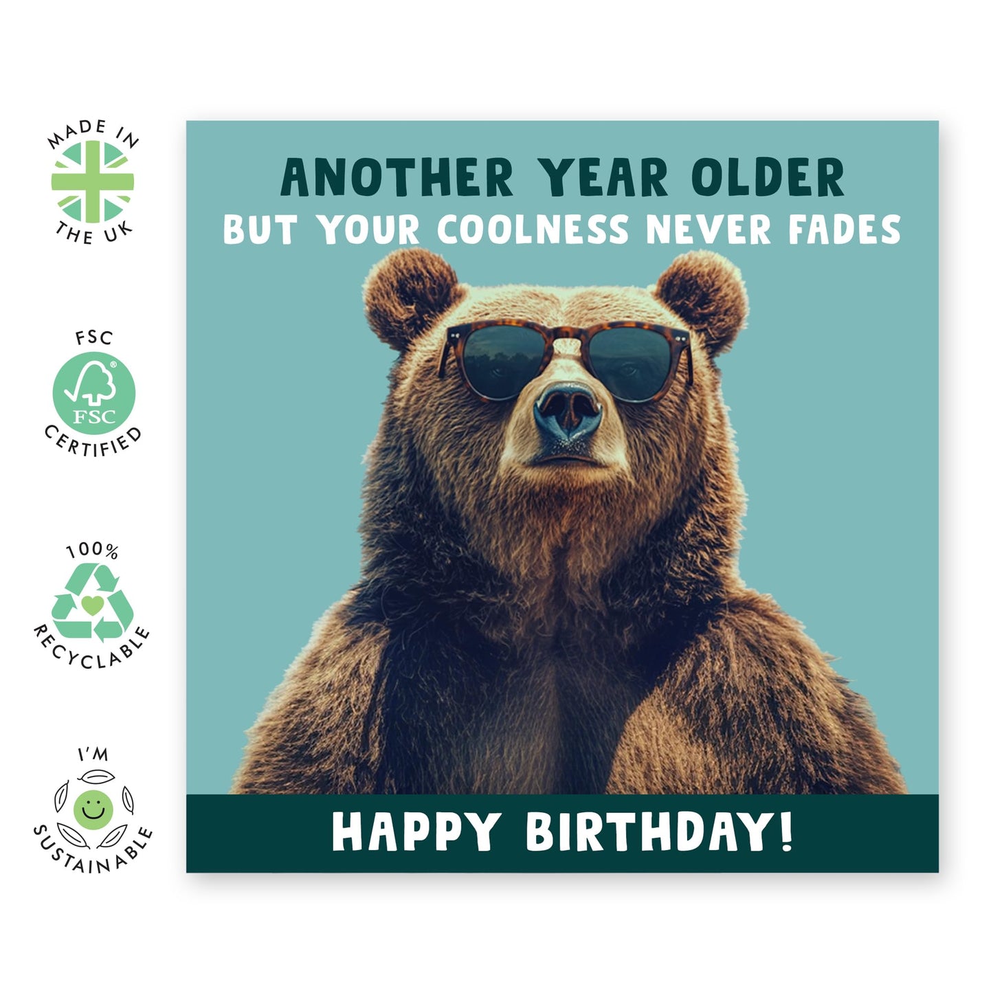 Birthday Greeting Card - 'COOL BEAR' - Perfect for Celebrating with a Fun and Trendy Vibe - Ideal for Him Brother Friends Family, or Anyone Who Loves Adorable Bears - Comes With Stickers By Central 23