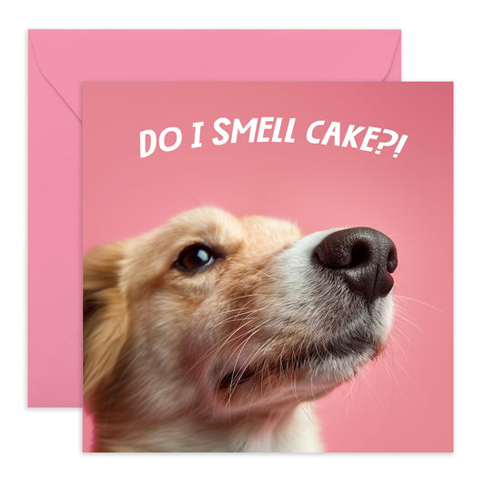 Hilarious & Cute Birthday Card - 'Do I Smell Cake' - Gift for Best Friends, Buddy, Mate, Coworkers, Officemates, Girlfriend, Classmate - Cake Please - Comes with Fun Stickers