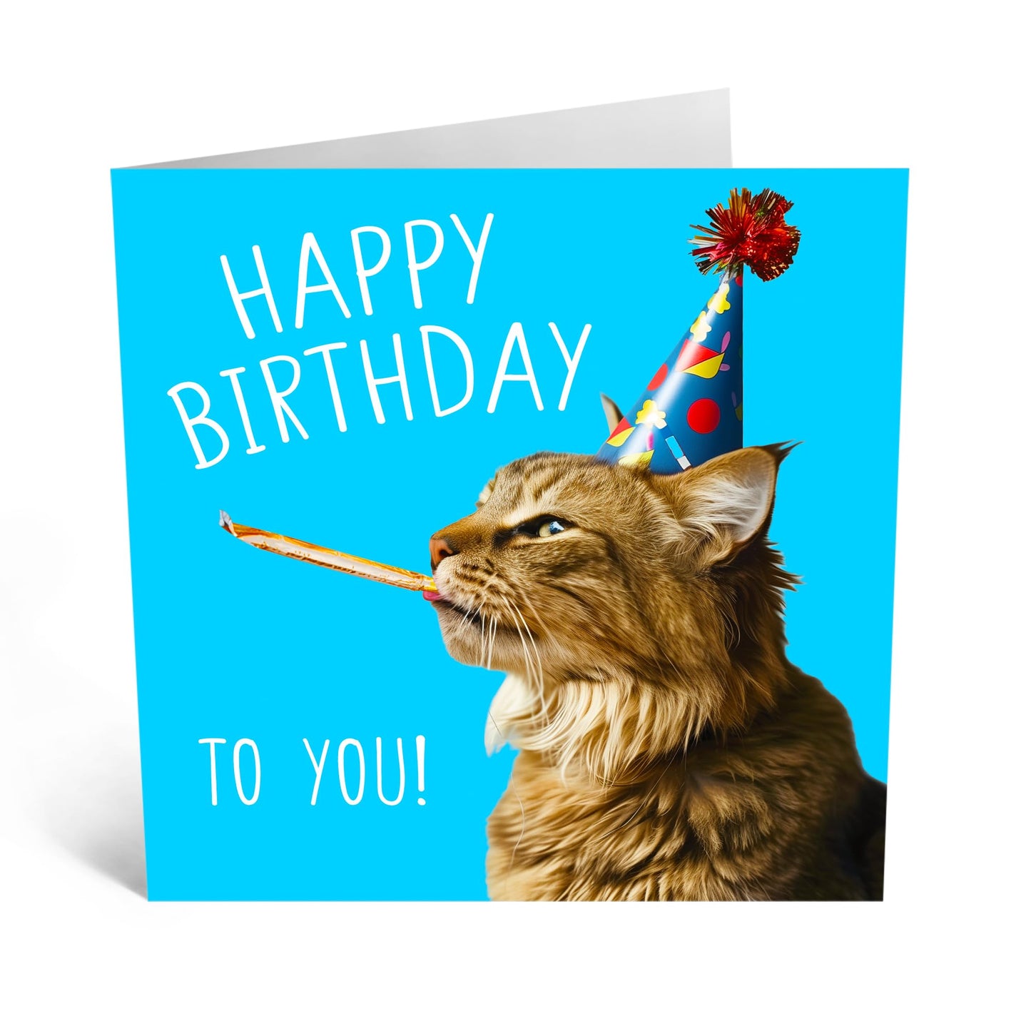 Birthday Greeting Card - 'BIRTHDAY TO YOU CAT' - Perfect for Cat Lovers Celebrating with Feline Flair - Ideal for Adding a Purr-fect Touch to Their Special Day - Comes With Stickers By Central 23
