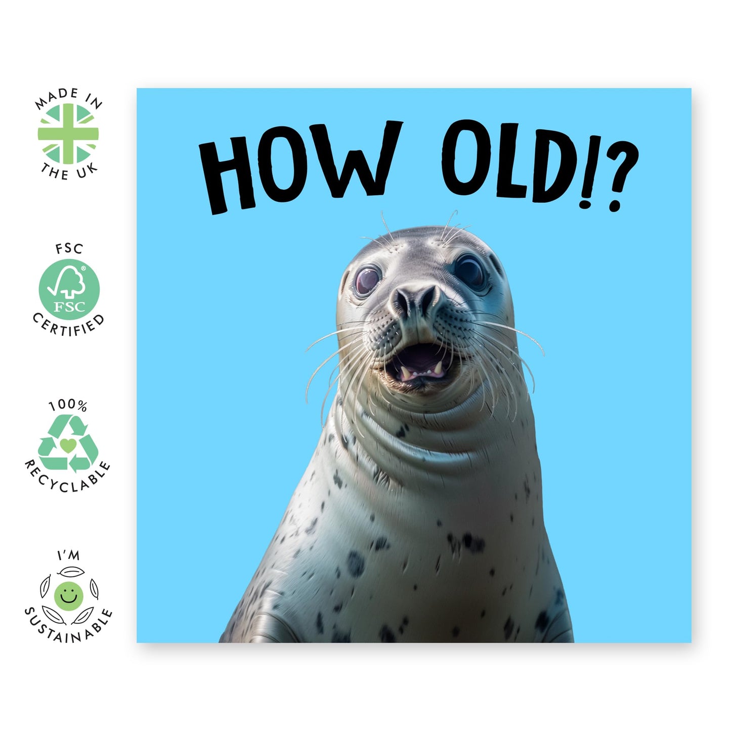Birthday Greeting Card - 'HOW OLD?! SEAL' - Perfect for Celebrating with a Splash of Humor - Ideal for Seal Enthusiasts and Adding a Playful Touch to Any Birthday - Comes With Stickers By Central 23