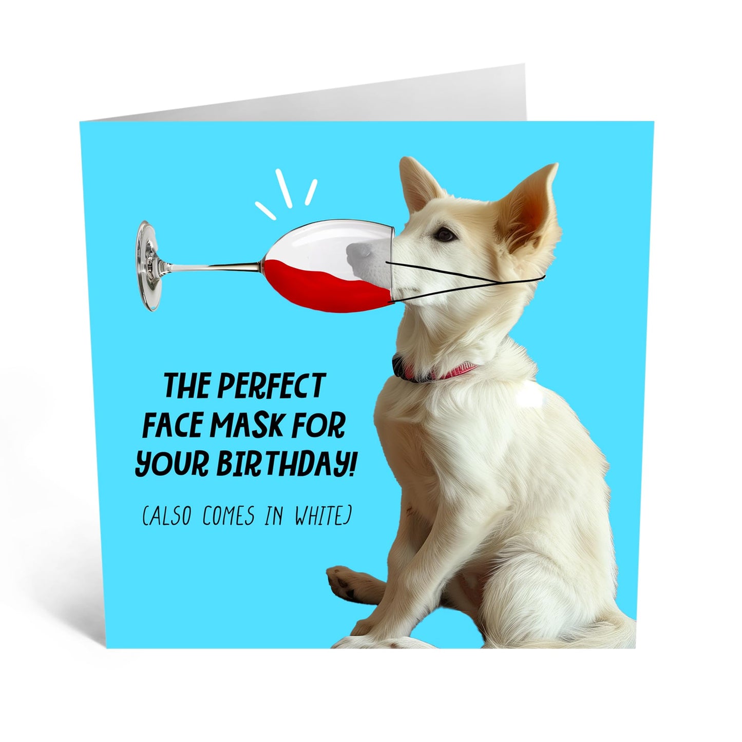 Birthday Card - 'BIRTHDAY FACE MASK' - Perfect for Celebrating with a Fun and Relaxing Twist - Ideal for Adding a Touch of Pampering and Humor to Their Special Day - Comes With Stickers By Central 23