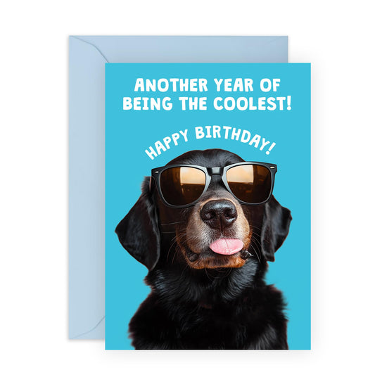 Cool Birthday Card - 'Another Year of Being The Coolest' - Presents for Friends, Co-workers, Colleagues, Family, Boyfriend, Husband, Dog Lovers - Shades- Comes with Fun Stickers