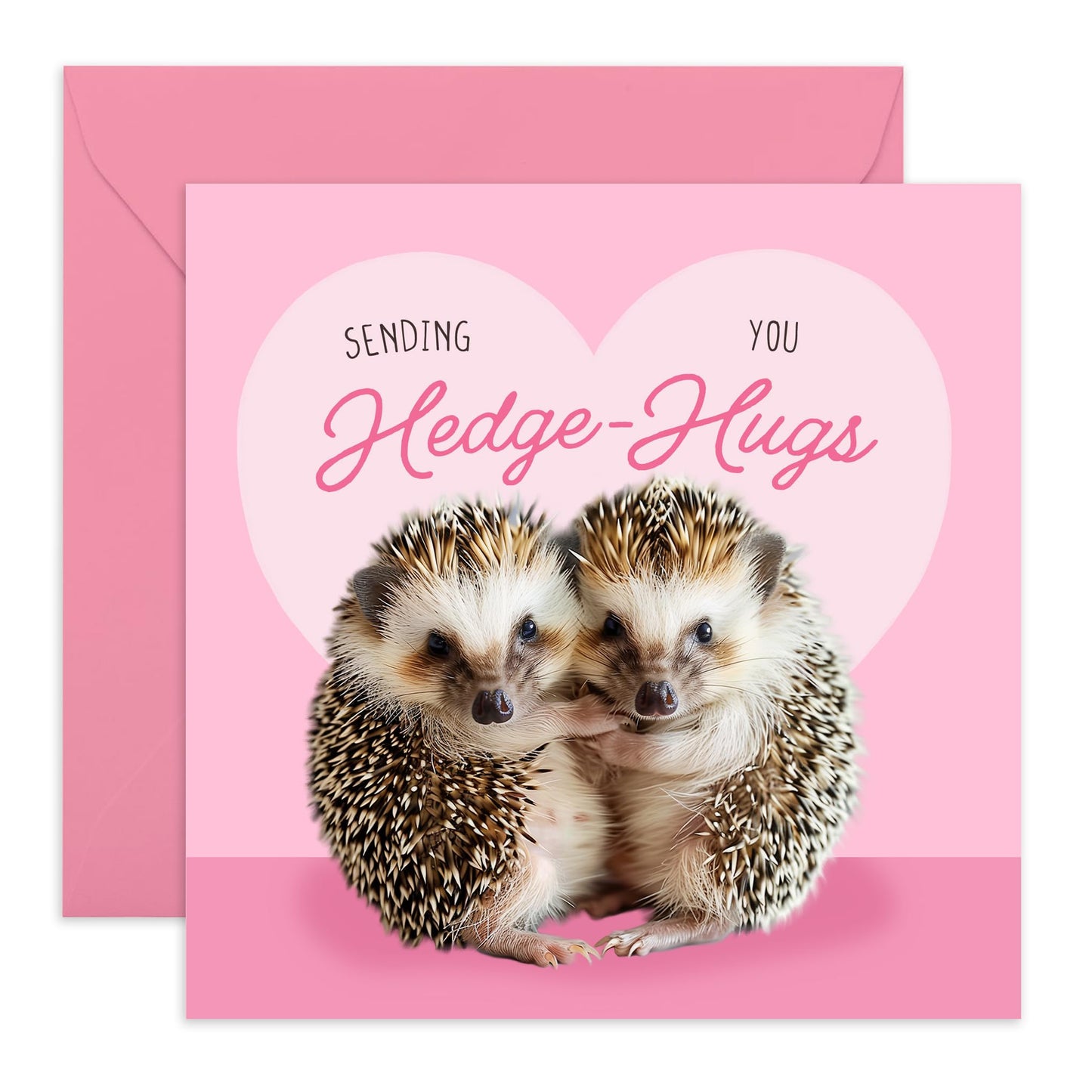 Birthday Cards For Her Him - Sending You Hedge-hugs - Husband Wife Birthday Greeting Card - Funny Birthday Cards For Him Her - Gift For Couple - Comes With Stickers By Central 23