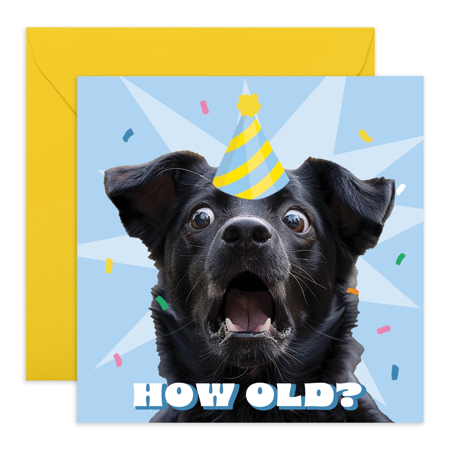 HOW OLD DOG