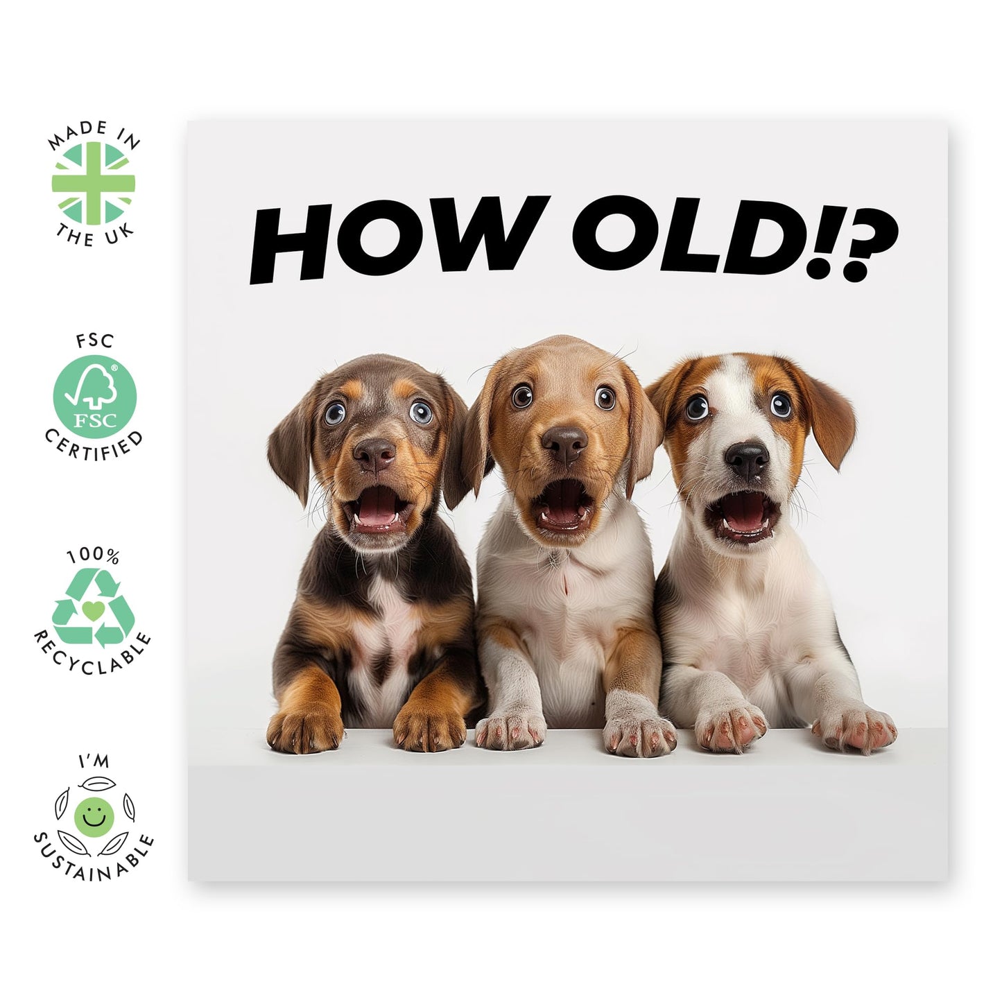 Birthday Greeting Card - 'HOW OLD?! PUPPIES' - Ideal for Celebrating Any Age with Adorable Puppy Charm - Perfect for Dog Lovers And Adding Joyful Fun to Milestones - Comes With Stickers By Central 23