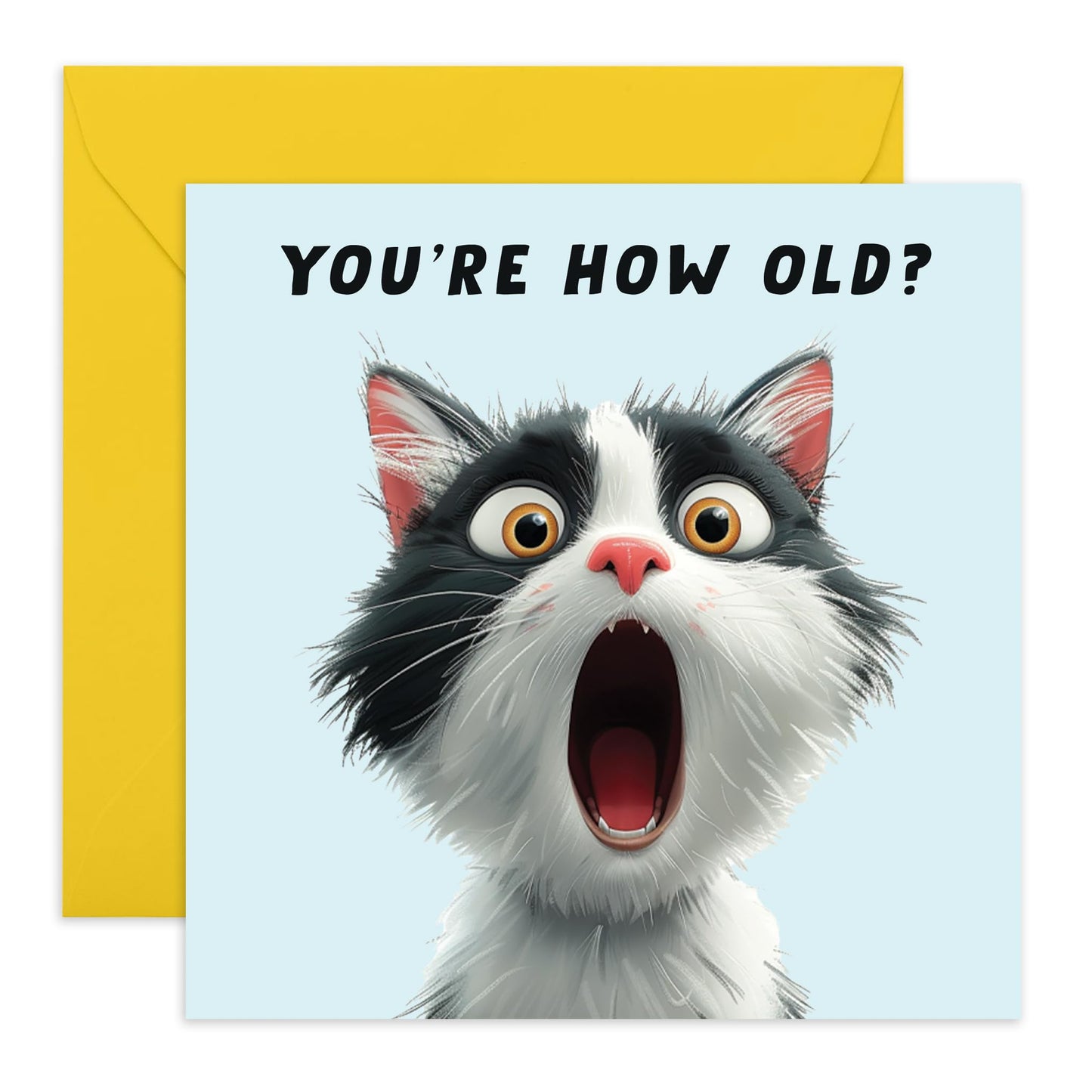 Cute Cat Happy Birthday Card - 'You're How Old' - Gifts for Him, Her, Dog & Pet Lovers, Fur Parents & Owners - Asking your Age - Comes with Fun Stickers