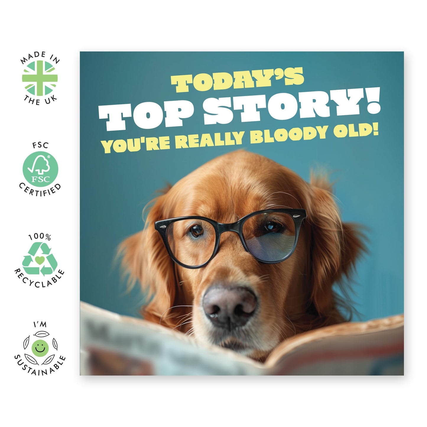 Cute Dog Happy Birthday Card - 'Todays Top Story' - Gifts for Him, Her, Dog & Pet Lovers, Fur Parents & Owners - Older and Wiser - Comes with Fun Stickers
