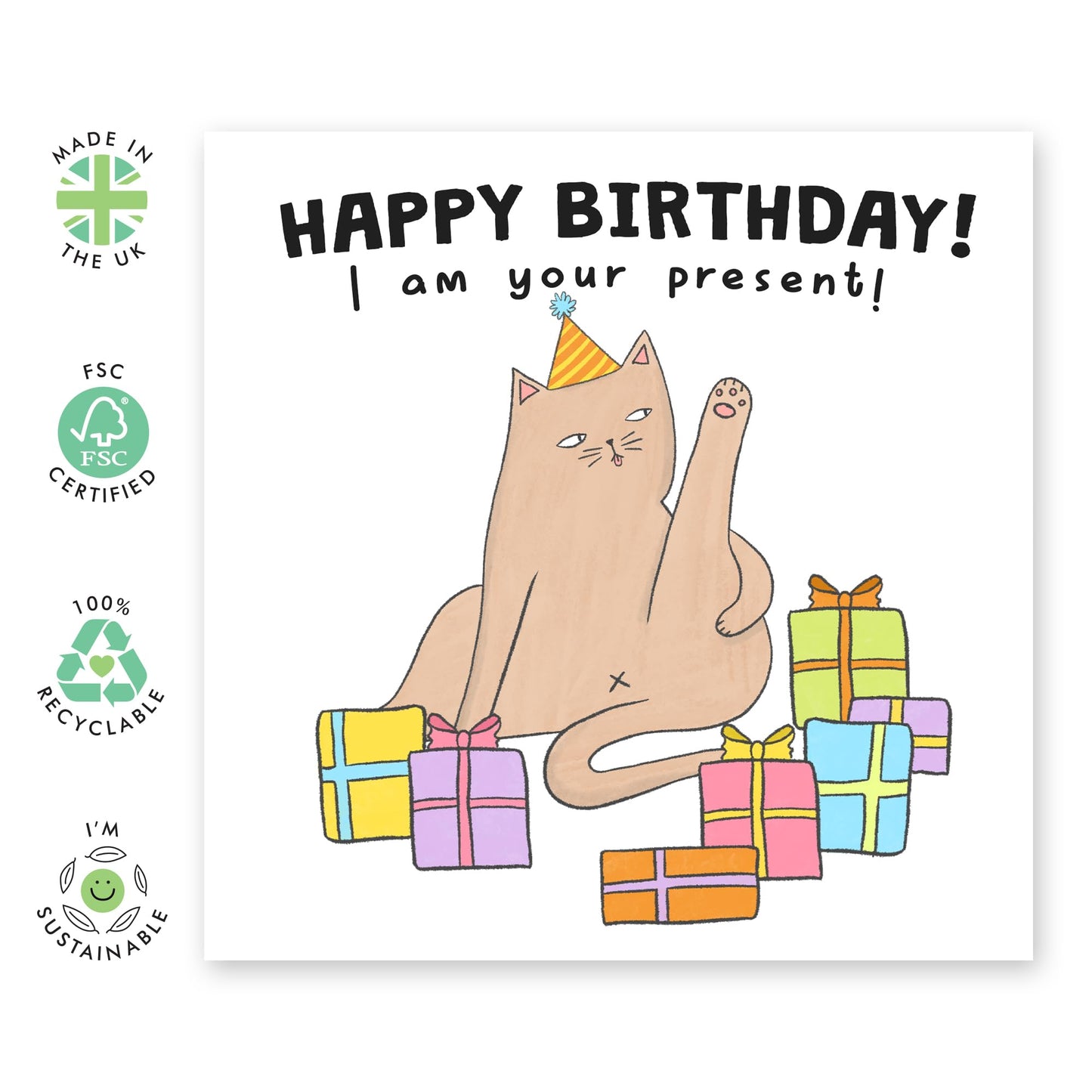 Birthday Card Him Her - Birthday I Am Your Present Cat - Funny Greeting Card Men Women - Birthday Gifts For Cat Lovers - Birthday Card For Friends Pet Owners - Comes With Fun Stickers By Central 23