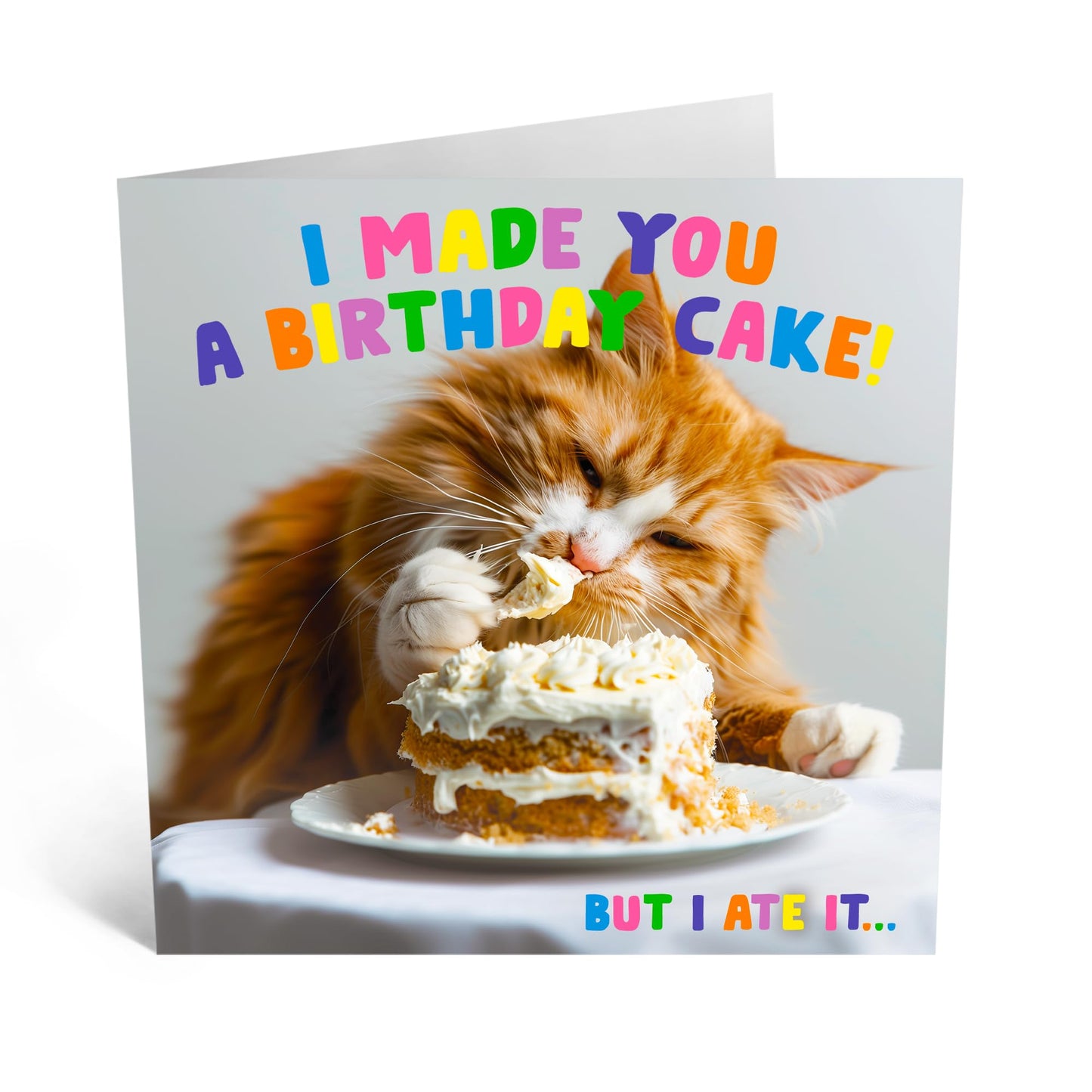 Birthday Greeting Card - 'MADE YOU A BIRTHDAY CAKE CAT' - Perfect for Adding a Sweet & Feline Twist to Celebrations - Ideal for Cat Lovers Who Loves a Fun Surprise - Comes With Stickers By Central 23