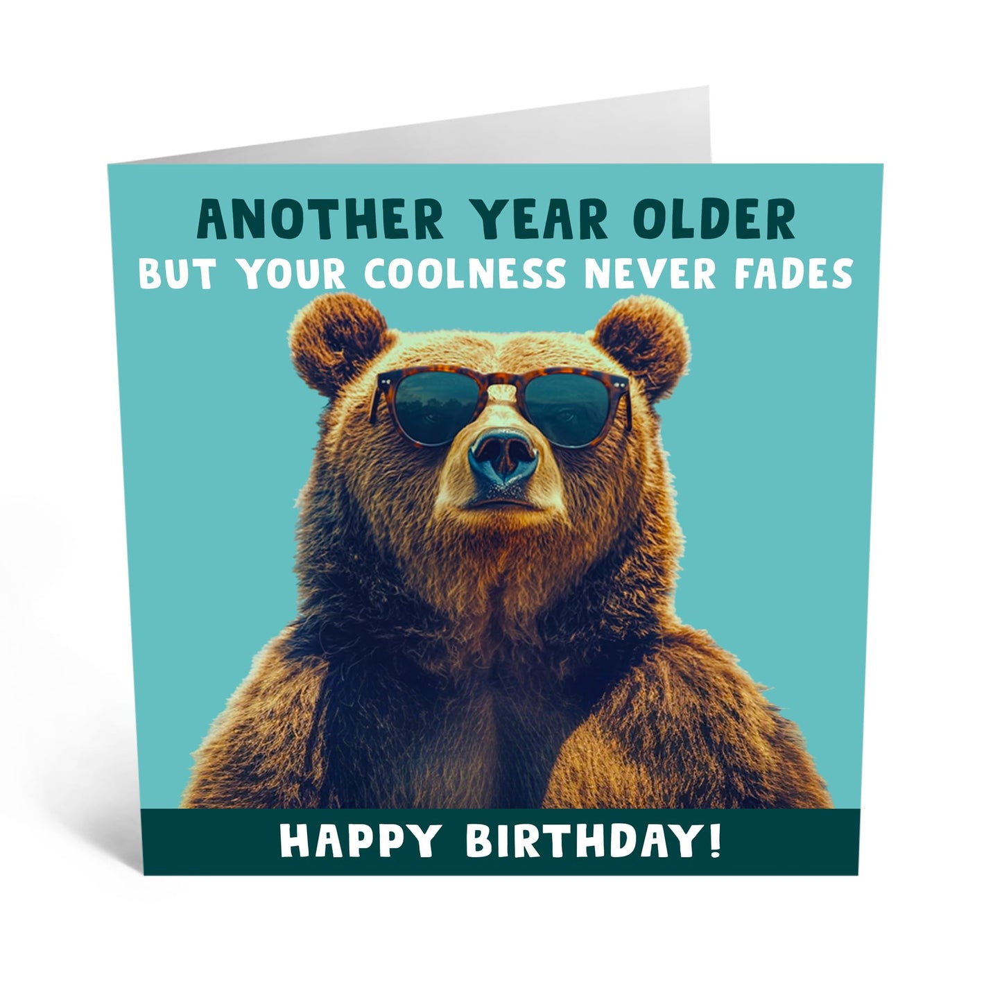 Birthday Greeting Card - 'COOL BEAR' - Perfect for Celebrating with a Fun and Trendy Vibe - Ideal for Him Brother Friends Family, or Anyone Who Loves Adorable Bears - Comes With Stickers By Central 23