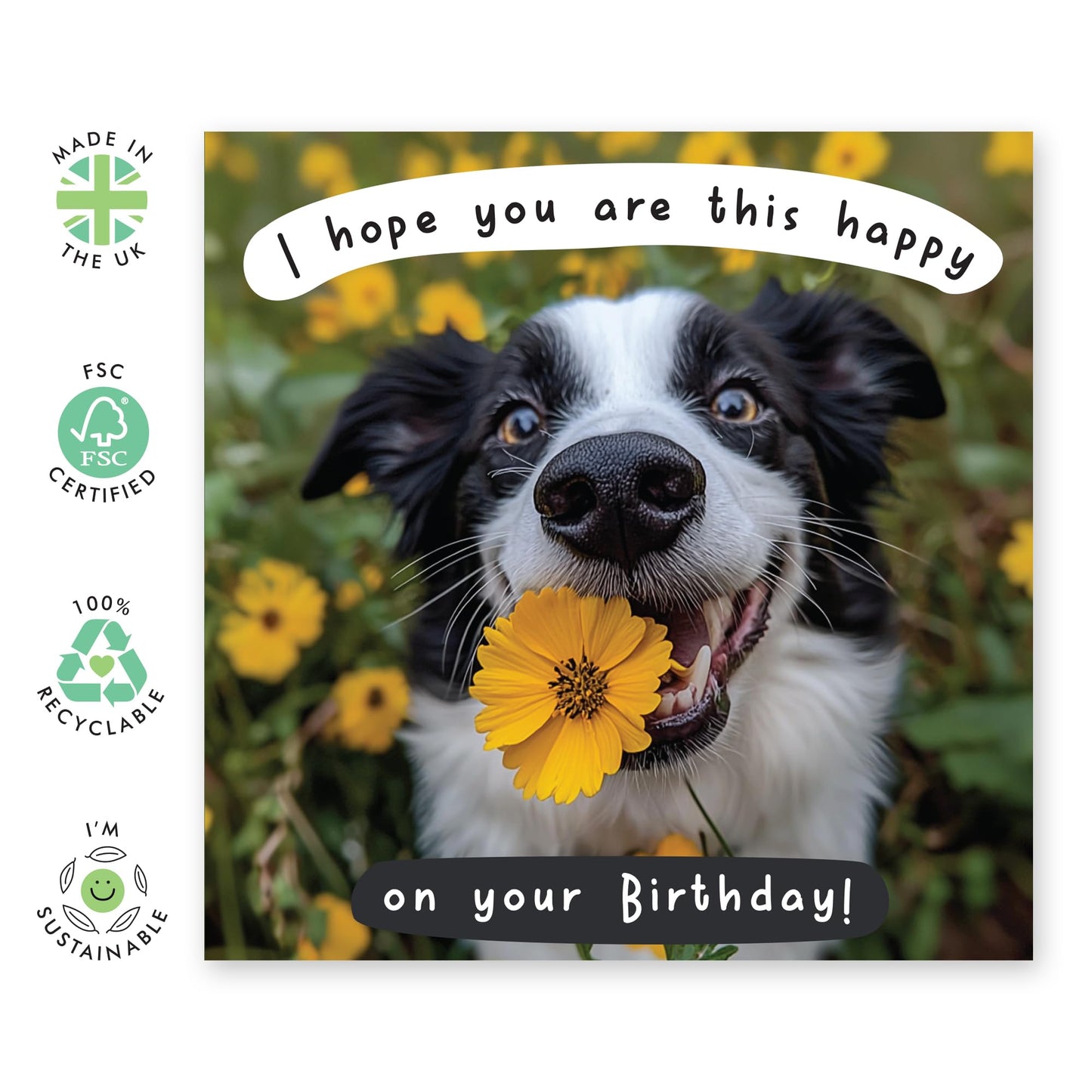 Cheerful Birthday Card - 'HOPE YOU'RE THIS HAPPY - DOG!' - Perfect for Celebrating with Joy and Playfulness - Ideal for Dog Lovers Friends Family Dads MUMs Besties - Comes With Stickers By Central 23