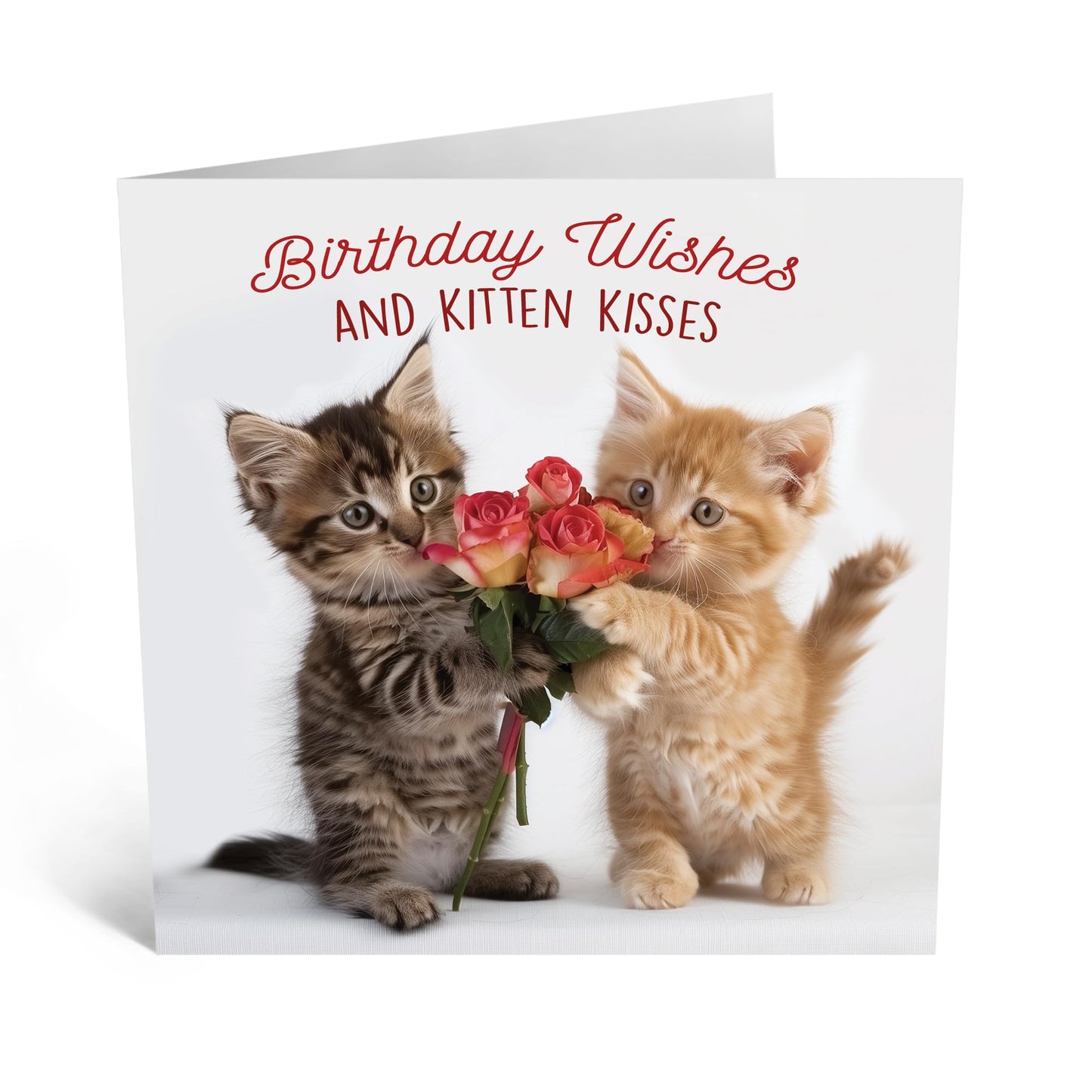 Greeting Card - 'BIRTHDAY WISHES KITTEN KISSES' - Perfect for Adding Adorable Feline Charm to Birthday Celebrations - Ideal for Sweet & Cuddly Wishes to Loved Ones - Comes With Stickers By Central 23
