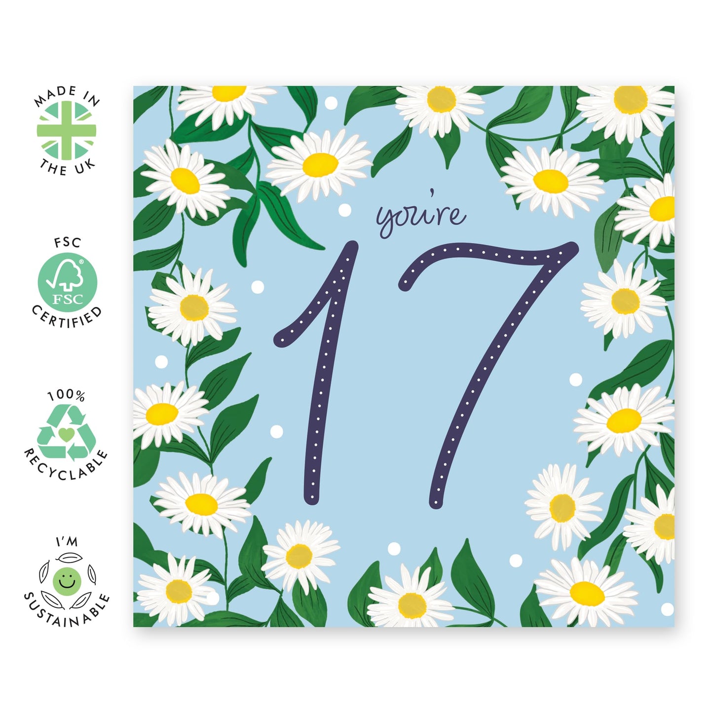 17th Birthday Cards For Kid - Daisy Chain 17 - Girl Birthday Card Seventeen Year Old - Happy Birthday Card For Daughter Granddaughter Niece - Seventeenth Gifts - Comes With Fun Stickers By Central 23