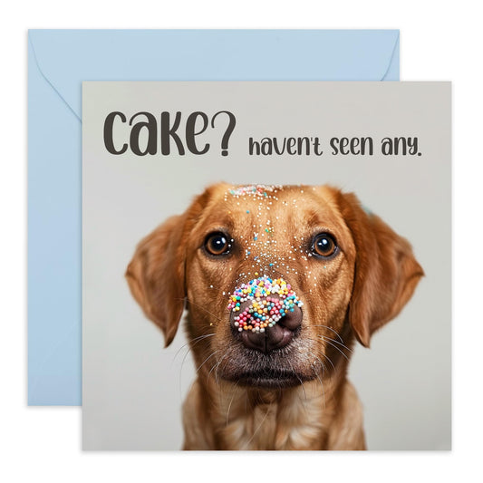 Valentines Day Card Girlfriend Boyfriend - Haven't Seen Any Cake Dog - Anniversary Card Couple Fiance - Husband Wife Greeting Card - Love Cards For Him Her - Comes With Stickers By Central 23
