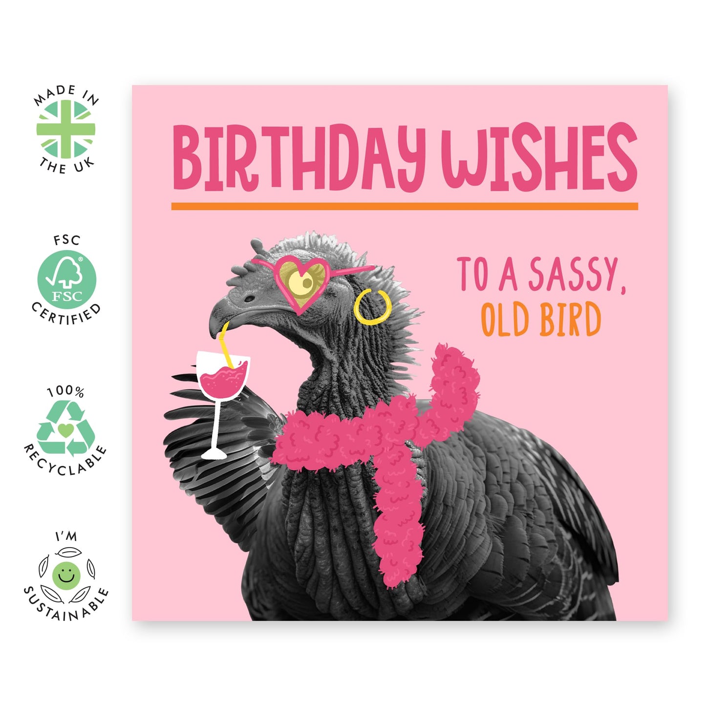 Fun Birthday Cards Her - Birthday Sassy Old Bird - Sister Birthday Card - Best Friend Birthday Card - Cheeky Greeting Cards For Her Mum Aunt - Comes With Fun Stickers By Central 23