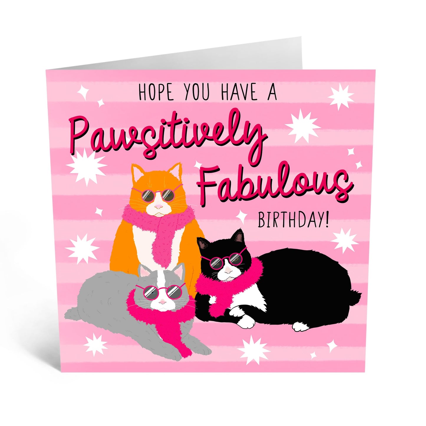 Charming Greeting Card - 'PAWSITIVELY FABULOUS CATS' - Perfect for Adding a Fun and Fabulous Touch to Any Occasion - Ideal for Cat Lovers, Him, Her, Friends, Family - Comes With Stickers By Central 23