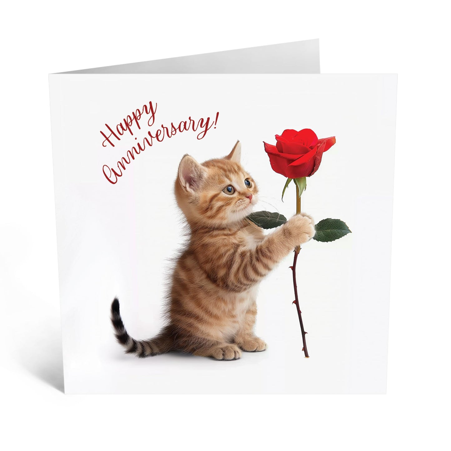 Greeting Card - 'ANNIVERSARY CAT' - Perfect for Celebrating Your Special Day with Feline Flair - Ideal for Adding a Touch of Cuteness and Fun to Your Anniversary - Comes With Stickers By Central 23