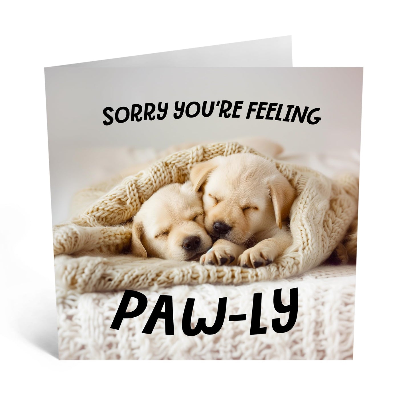 Greeting Card - 'SORRY YOU'RE FEELING PAWLY' - Perfect for Comforting Someone with a Cute Puppy Twist - Ideal to Add a Lighthearted Touch to Your Get Well Wishes - Comes With Stickers By Central 23