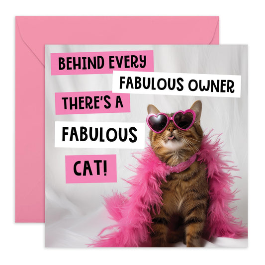 Greeting Card - 'FABULOUS OWNER, FABULOUS CAT' - Perfect for Any Occasion with a Fun, Feline-Themed Twist and Playful Design - Ideal for Celebrating Cat Lovers - Comes With Stickers By Central 23