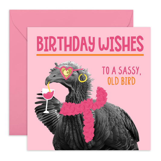Fun Birthday Cards Her - Birthday Sassy Old Bird - Sister Birthday Card - Best Friend Birthday Card - Cheeky Greeting Cards For Her Mum Aunt - Comes With Fun Stickers By Central 23