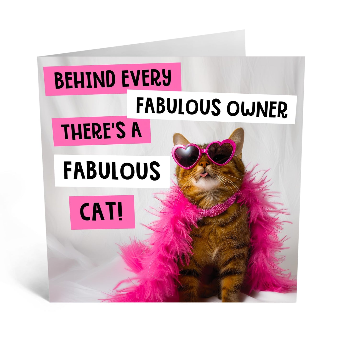 Greeting Card - 'FABULOUS OWNER, FABULOUS CAT' - Perfect for Any Occasion with a Fun, Feline-Themed Twist and Playful Design - Ideal for Celebrating Cat Lovers - Comes With Stickers By Central 23