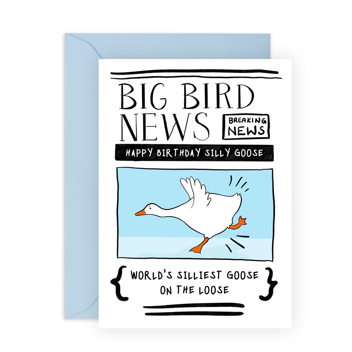 Brother Birthday Card From Sister - Silly Goose - Funny Greeting Cards Birthday For Friends - Happy Birthday Husband Card - Gifts For Him And Her - Comes With Stickers - By Central 23