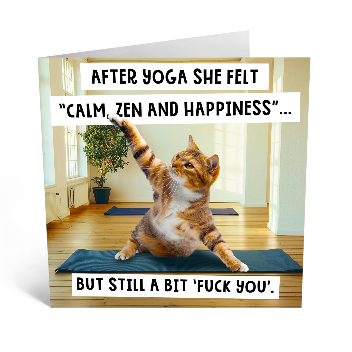 Humorous Greeting Card - 'CAT YOGA' - Perfect for Adding a Fun and Relaxing Twist to Any Occasion - Ideal for Cat Lovers and Those Who Appreciate a Bit of Zen - Comes With Stickers By Central 23