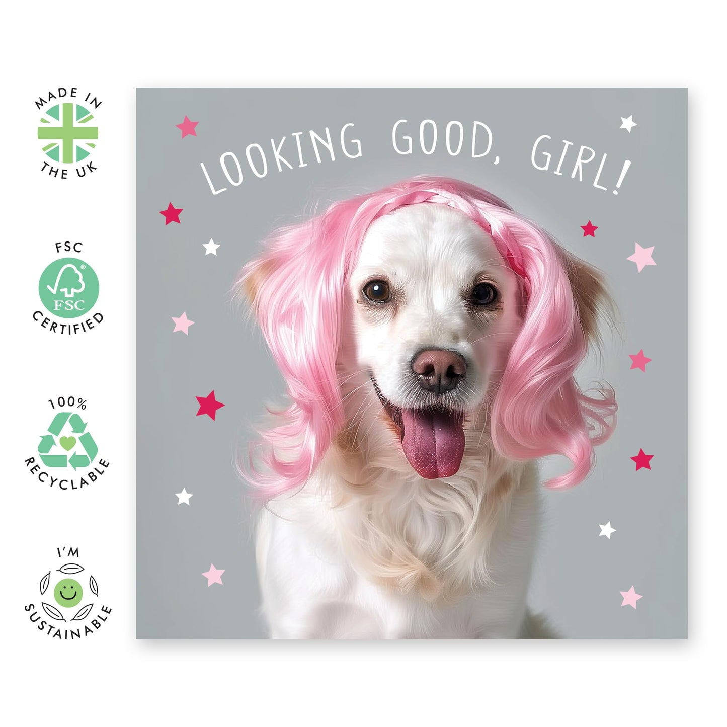 Greeting Card - 'LOOKING GOOD GIRL DOG WIG' - Perfect for Celebrating with a Fun and Fabulous Twist - Ideal for Adding Humor and Style to Any Occasion - Comes With Stickers By Central 23
