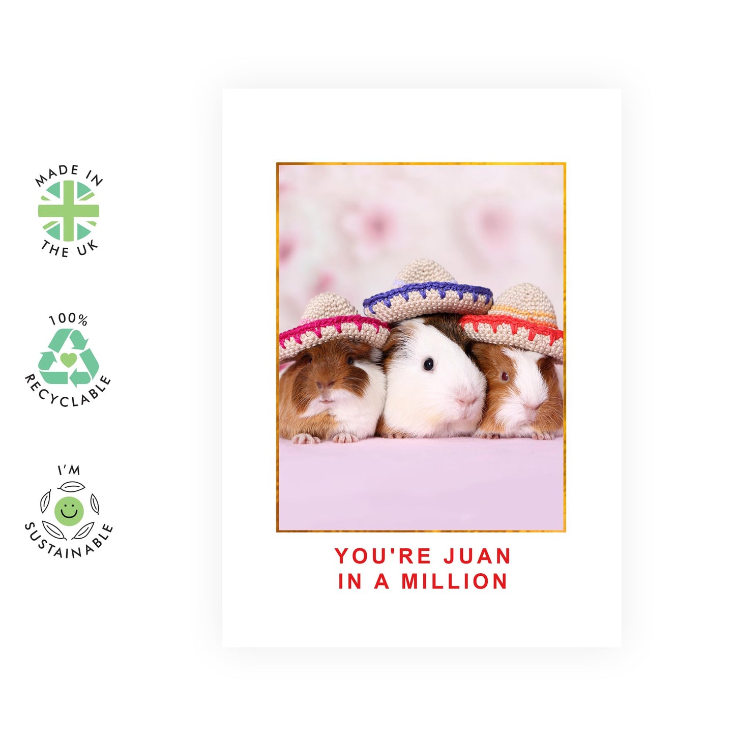 Birthday Card for Him Her - Juan In A Million Guinea Pigs - Funny Boyfriend Anniversary Card for Husband Wife Girlfriend Fiance Babe Spouse - Valentines Day Ideas - Comes With Cute Stickers