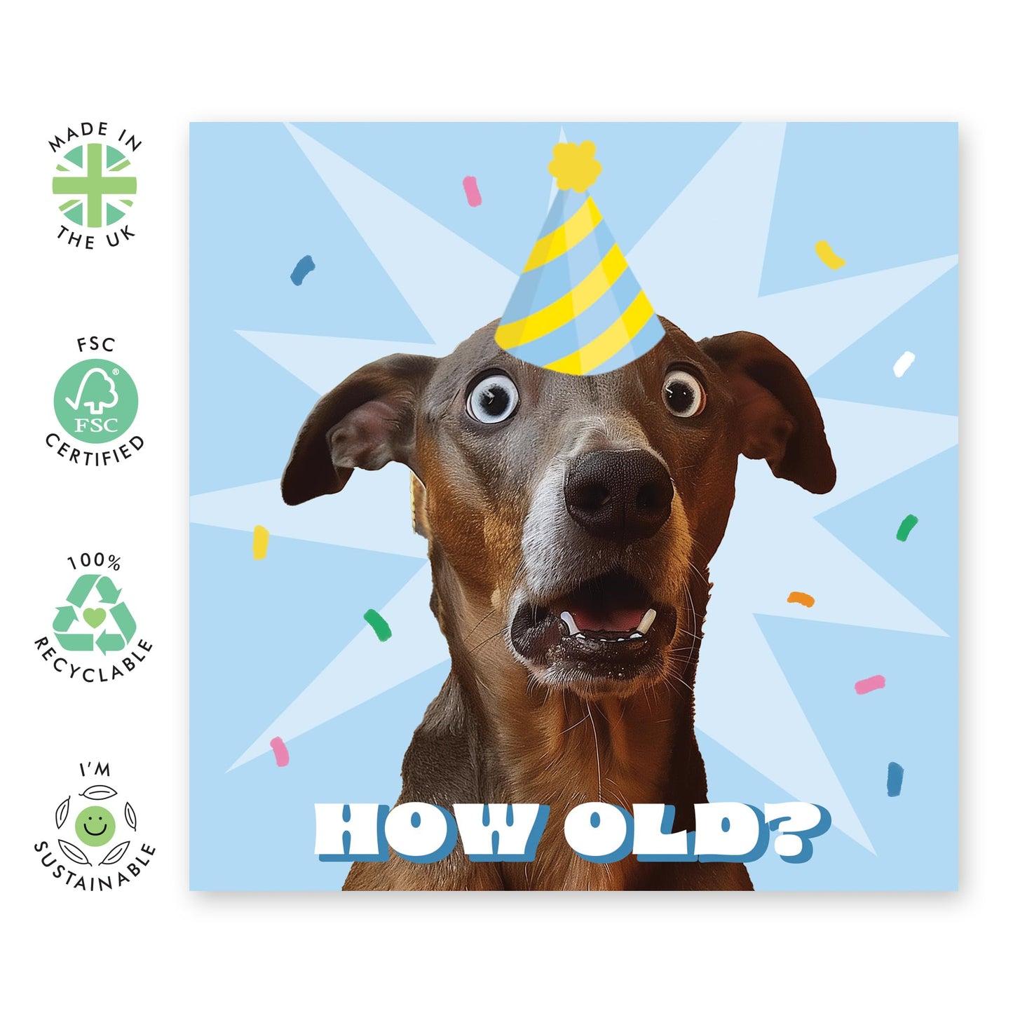 HOW OLD DOG
