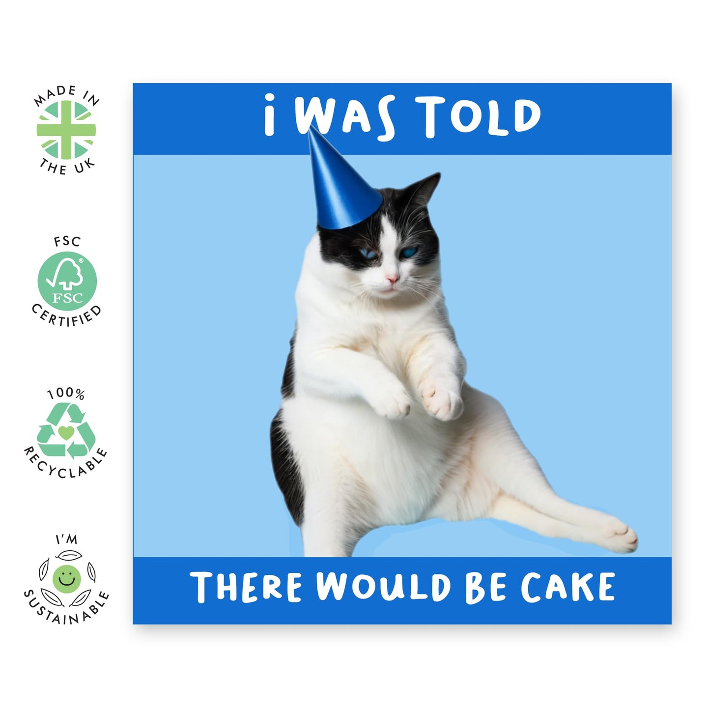 Hilarious Cat Birthday Card - 'Told There Were Would Be Cake' - Jokes for BFFs, Best Friends, Buddies, Mates, Bruv, Bro, Sis, Family, Colleagues, Coworkers - Fat Cat - Comes with Fun Stickers