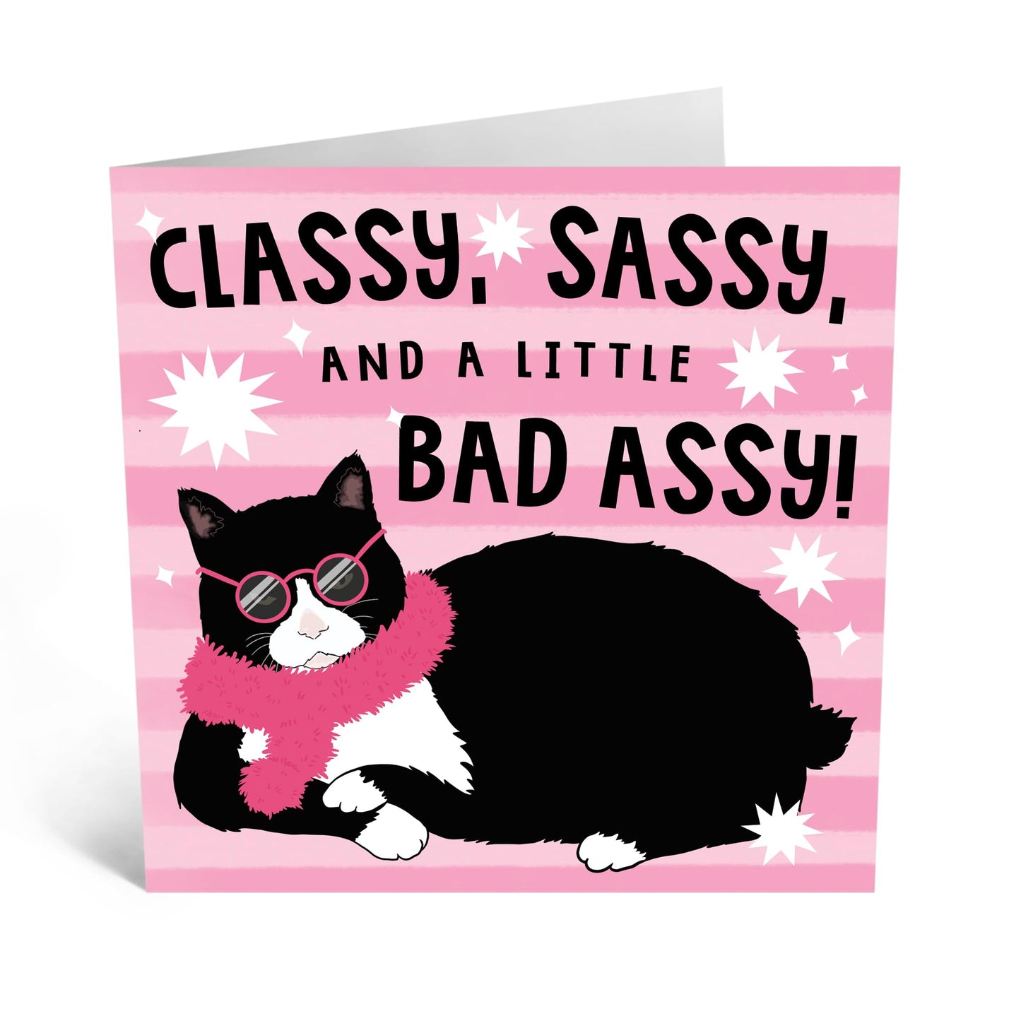 Greeting Card - 'CLASSY, SASSY, BAD ASSY CAT' - Perfect for Celebrating with a Touch of Feline Attitude - Ideal for Adding Humor to Any Occasion or Special Mument - Comes With Stickers By Central 23