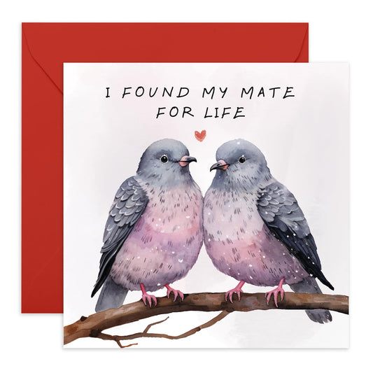 Love Cards For Boyfriend Girlfriend - I Found My Mate For Life - Anniversary Card For Husband Wife - Greeting Cards For Fiance - I Love You Gifts For Him Her - Comes With Fun Stickers By Central 23