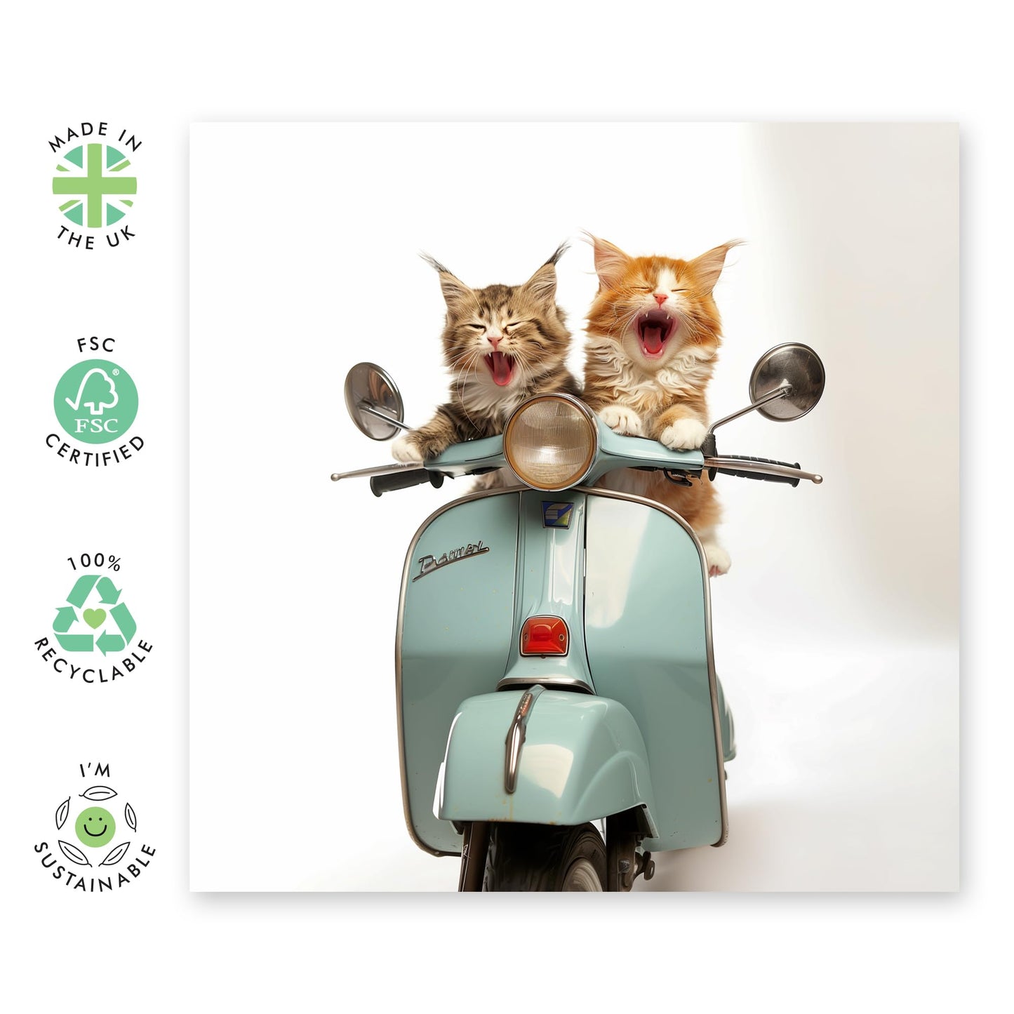 Fun Greeting Card - 'MOPED CATS' - Ideal for Cat Lovers and Adding a Playful Touch to Any Occasion - Perfect for Celebrating with a Unique Twist and a Smile - Comes With Stickers By Central 23