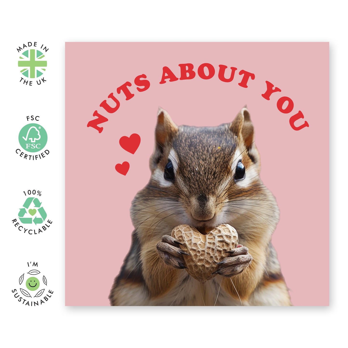 Cute Romantic Greeting Card - 'Nuts About You' - Funny Gift for Wife, Husband, Girlfriend, Boyfriend, Married Couple - Heart Shaped Nut - Comes with Fun Stickers