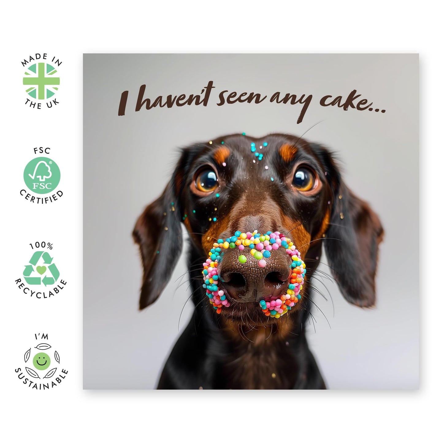 Dog Birthday Card - I Haven't Seen Any Cake - Humorous Birthday Cards For Women And Men - Gifts For Dog Mum And Dad - Cards From Pet - Comes With Stickers - By Central 23