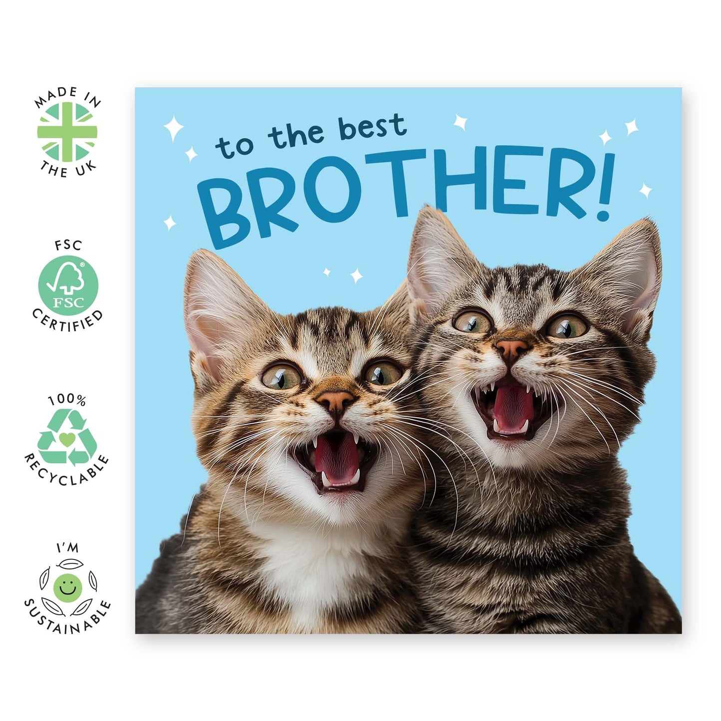 Birthday Card - 'BEST BROTHER CATS' - Perfect for Celebrating Your Brother Who Loves Cats - Ideal for Birthdays, Special Occasions, or Just to Show You Care - Comes With Stickers By Central 23