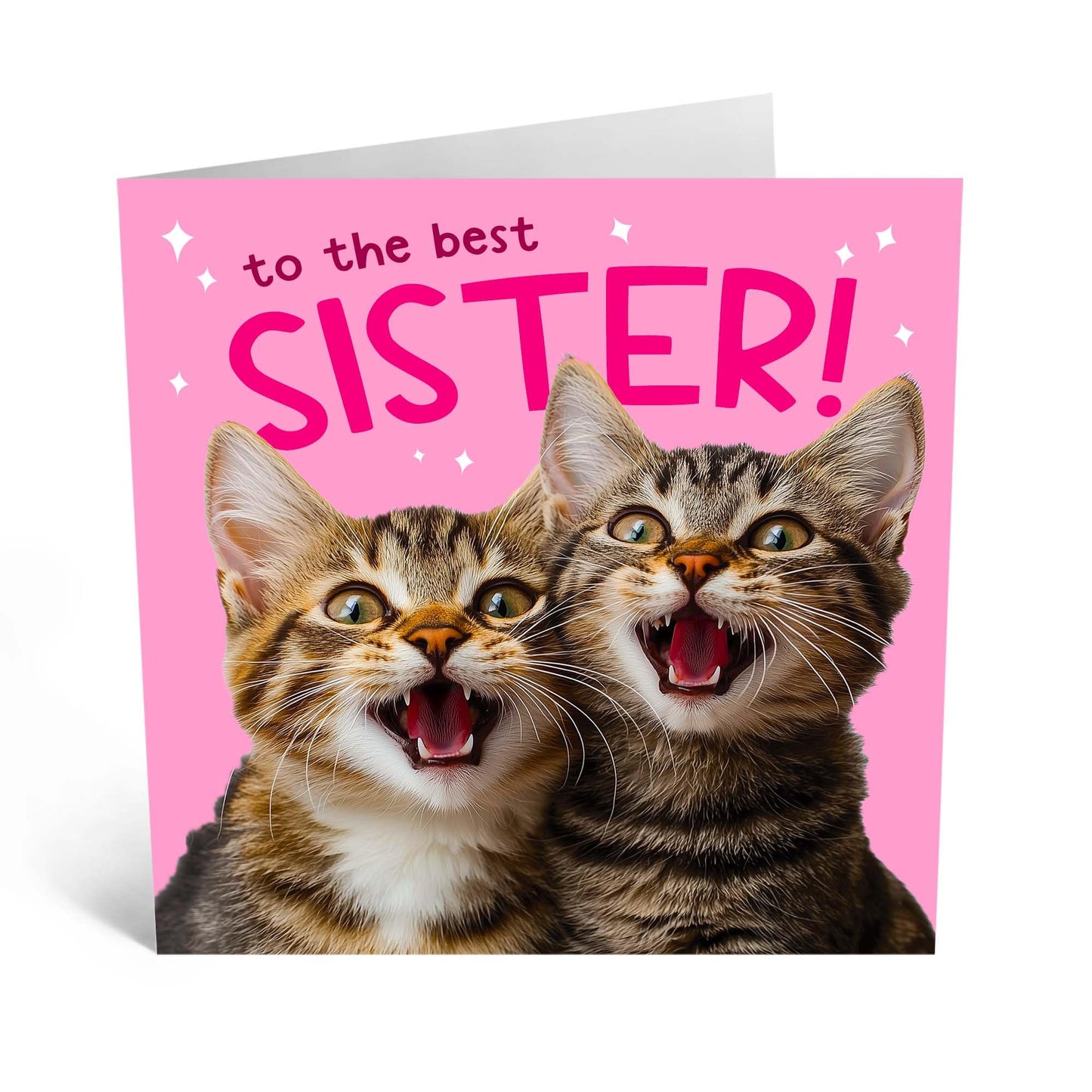 Birthday Greeting Card - 'BEST SISTER CATS' - Perfect for Celebrating Your Sister Who Loves Cats - Ideal for Birthdays, Just Because, or Any Special Occasion - Comes With Stickers By Central 23