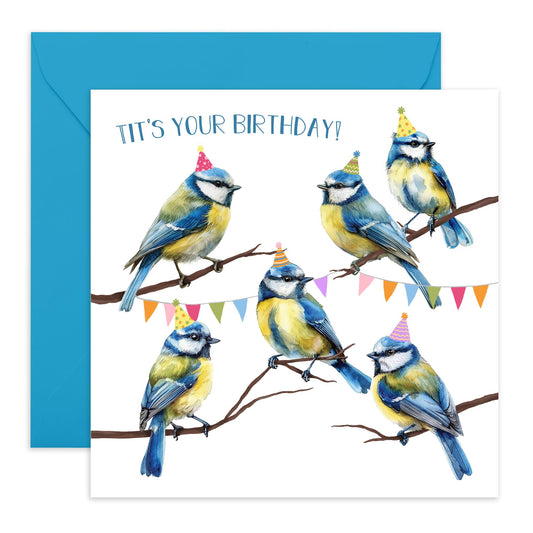 Fun Birthday Cards Her - Tits Your Birthday Blue Tits - Sister Birthday Card - Best Friend Birthday Card - Cheeky Greeting Cards For Her Mum Aunt Sister - Comes With Stickers By Central 23
