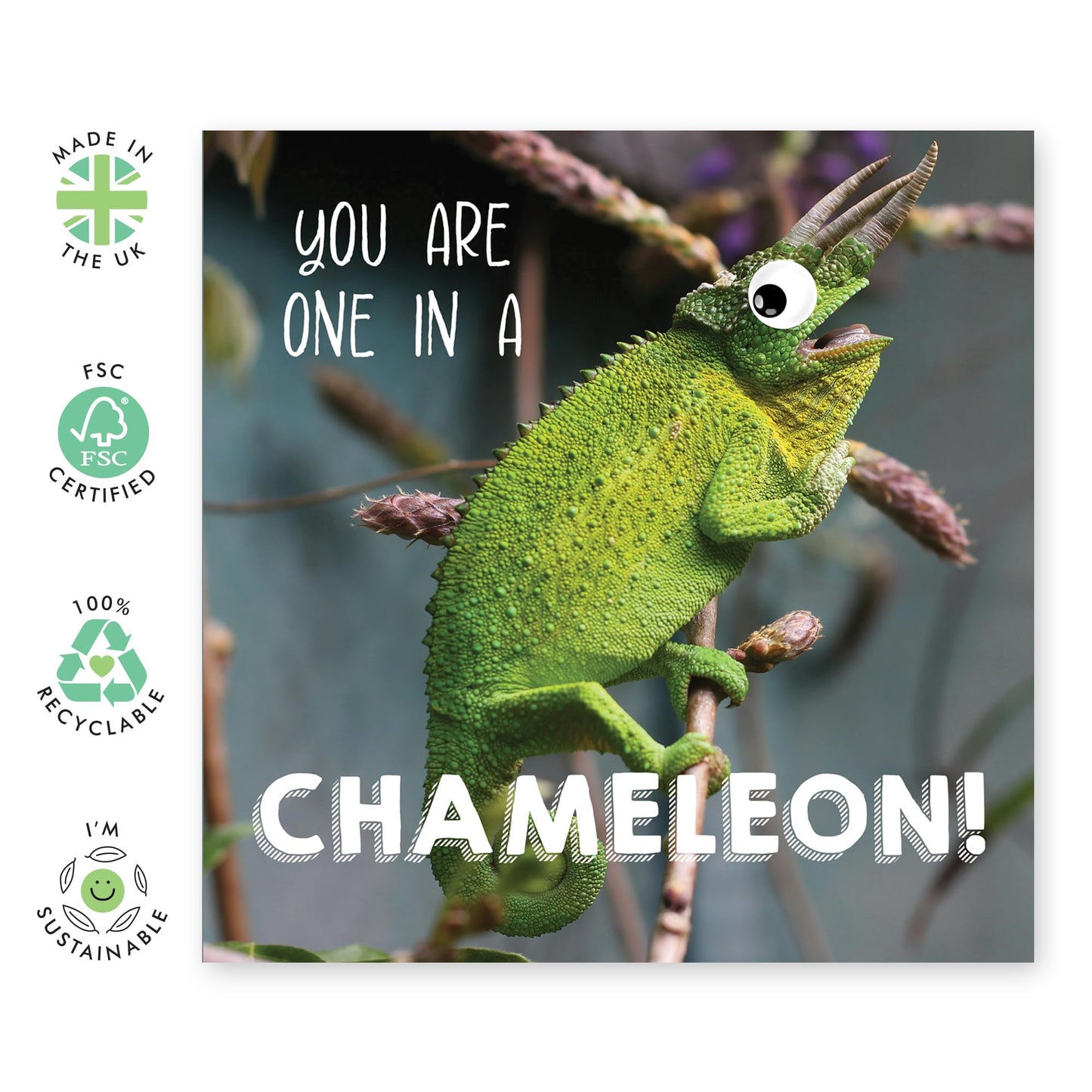 One in a Chameleon Greeting Card for Him, Her, Boyfriend, Girlfriend, Friends, Partner - Funny and Unique Design for Birthdays, Anniversaries, or Just Because - Blank Inside