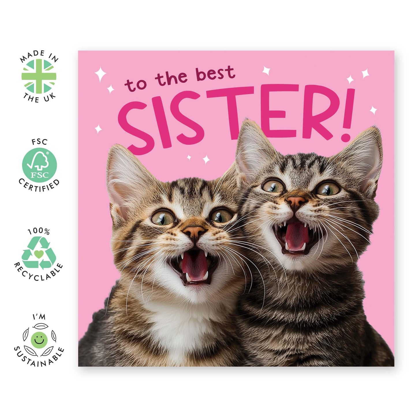Birthday Greeting Card - 'BEST SISTER CATS' - Perfect for Celebrating Your Sister Who Loves Cats - Ideal for Birthdays, Just Because, or Any Special Occasion - Comes With Stickers By Central 23