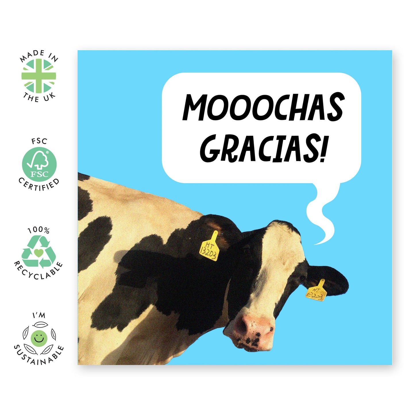 Greeting Card - 'MOOCHAS GRACIAS COW' - Perfect for Saying Thank You with a Fun and Farm-Fresh Twist - Ideal for Adding a Lighthearted Touch to Your Appreciation - Comes With Stickers By Central 23