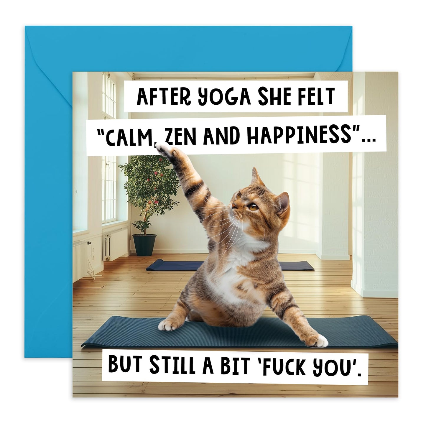 Humorous Greeting Card - 'CAT YOGA' - Perfect for Adding a Fun and Relaxing Twist to Any Occasion - Ideal for Cat Lovers and Those Who Appreciate a Bit of Zen - Comes With Stickers By Central 23