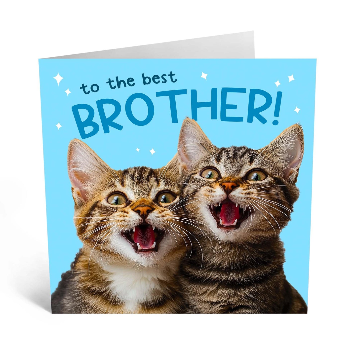 Birthday Card - 'BEST BROTHER CATS' - Perfect for Celebrating Your Brother Who Loves Cats - Ideal for Birthdays, Special Occasions, or Just to Show You Care - Comes With Stickers By Central 23
