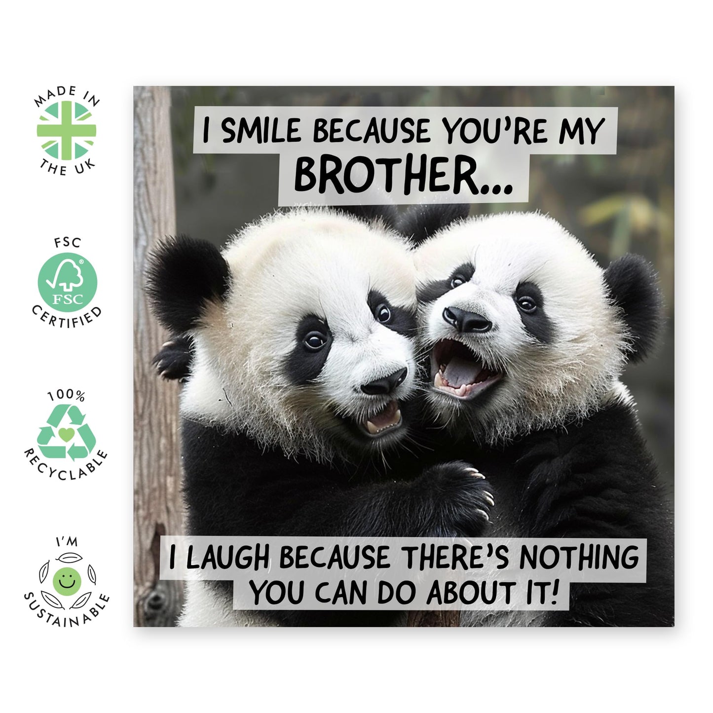 Adorable Animal Greeting Card - 'Brother Panda' - Cute Message for Bruv, Big Bro, Siblings, Kin, Family - Hugging Pandas - Comes with Fun Stickers