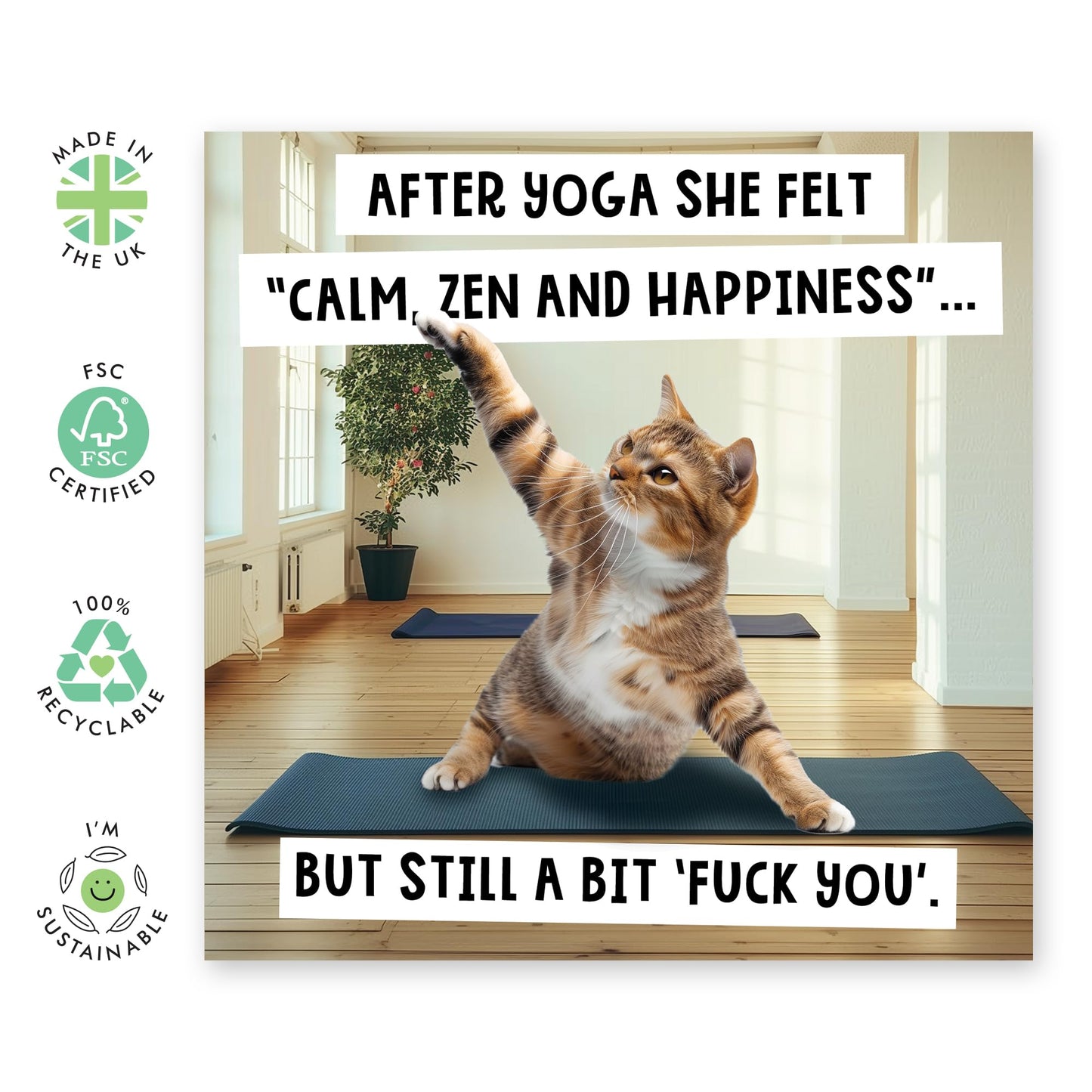 Humorous Greeting Card - 'CAT YOGA' - Perfect for Adding a Fun and Relaxing Twist to Any Occasion - Ideal for Cat Lovers and Those Who Appreciate a Bit of Zen - Comes With Stickers By Central 23